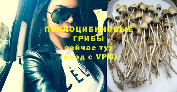 дмт Гусиноозёрск