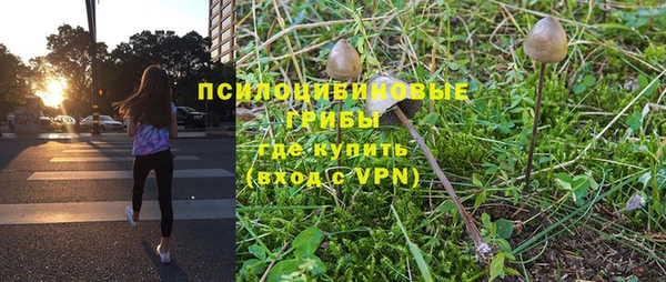 дмт Гусиноозёрск